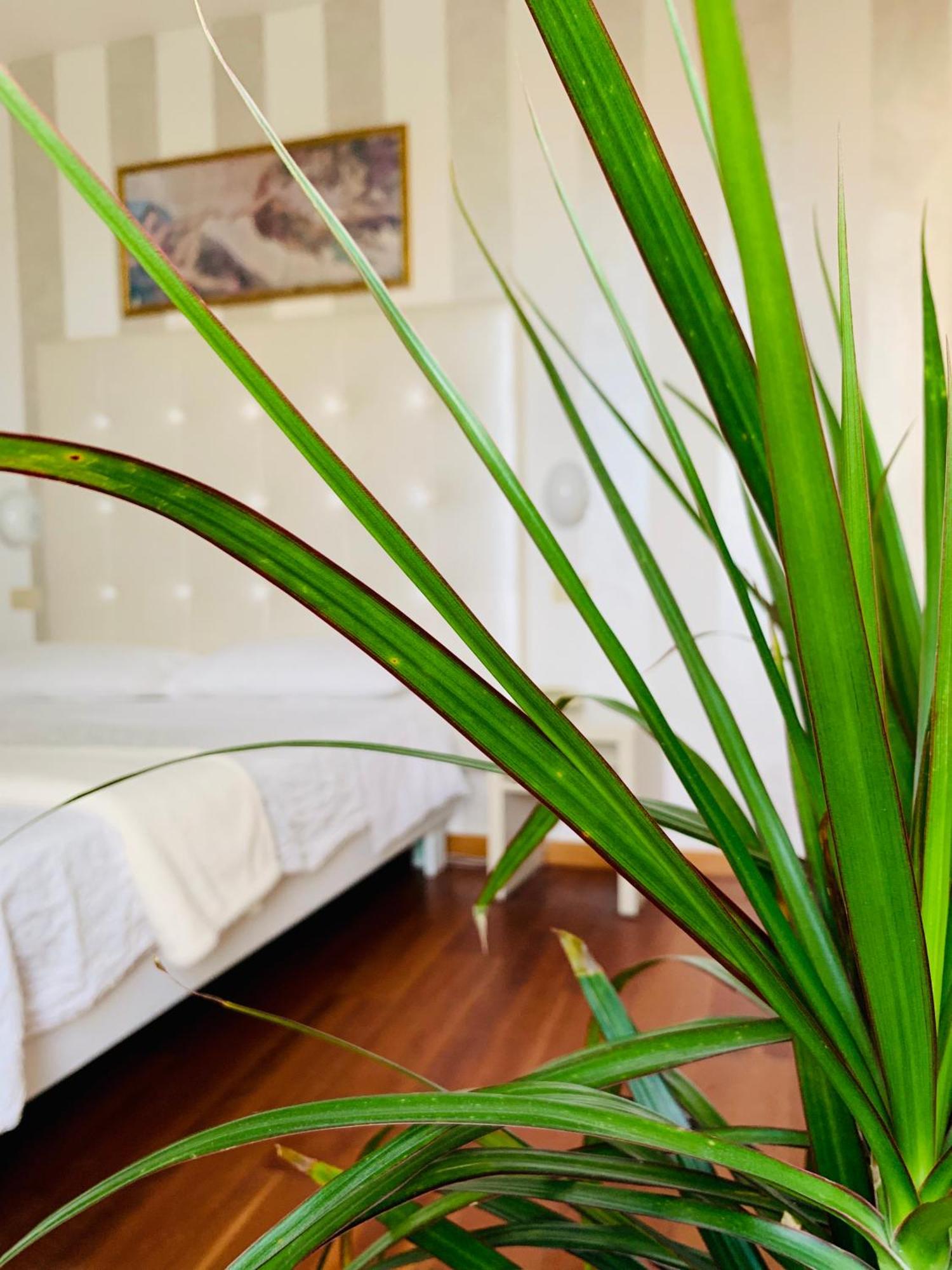 Hotel Baby B&B Milano Marittima Ngoại thất bức ảnh